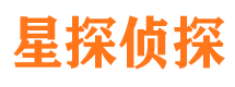 临武侦探公司